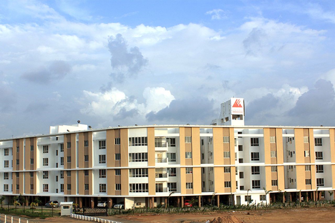 Temple greem - Alpha 